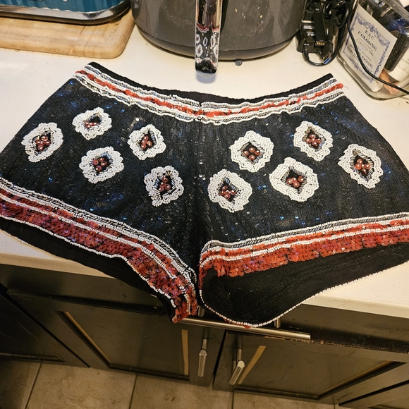 ZARA for Trafalug Pants - Zara for TRAFALUG Black Embroidered Shorts